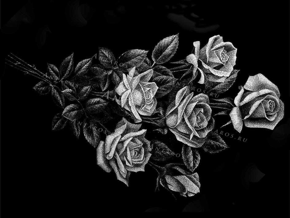 Цветы 15_Г Розы