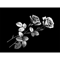 Цветы 07_Г Розы