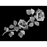 Цветы 09_Г Розы