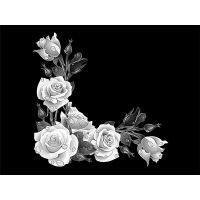 Цветы 17_Г Розы