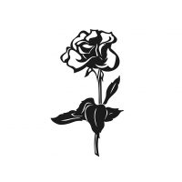 Цветы 503_П Розы
