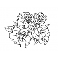 Цветы 515_П Розы
