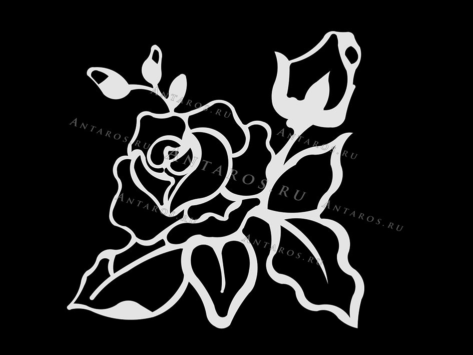 Цветы 507_П Розы