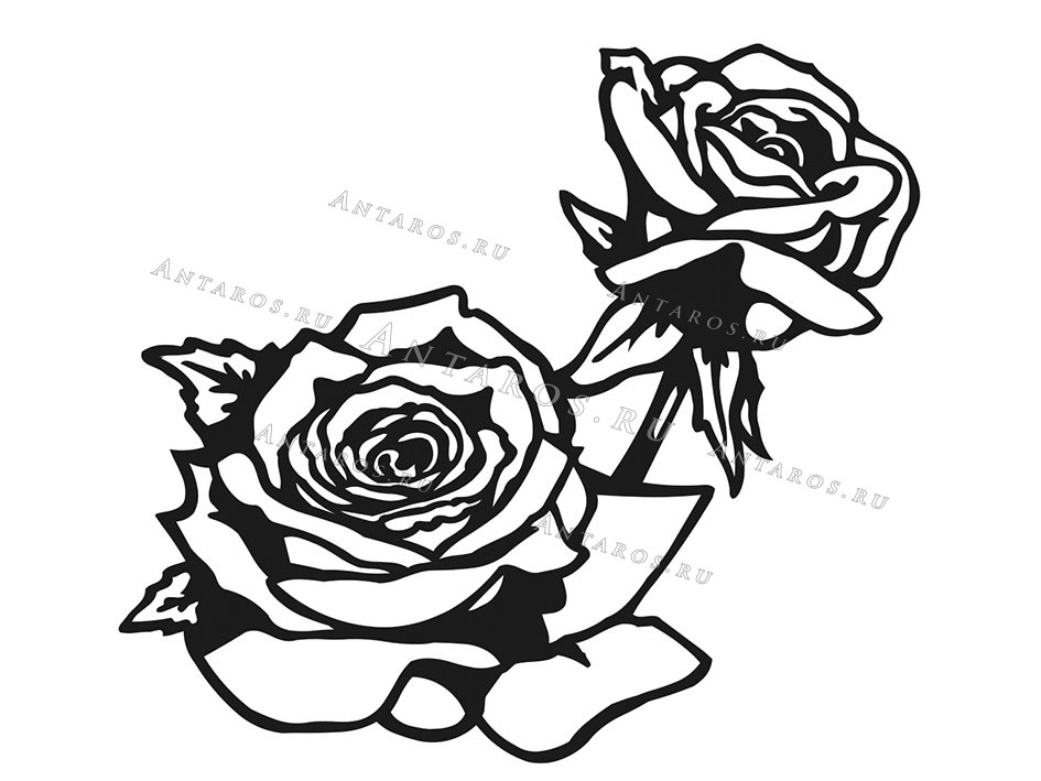 Цветы 510_П Розы