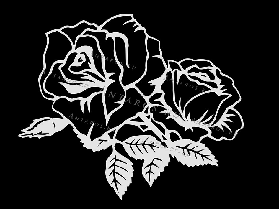 Цветы 511_П Розы