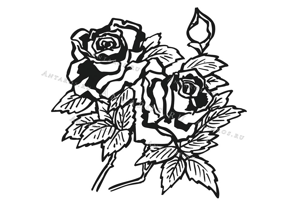 Цветы 512_П Розы