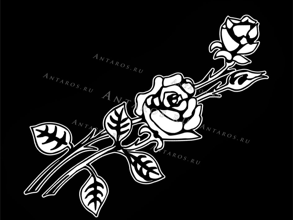 Цветы 513_П Розы