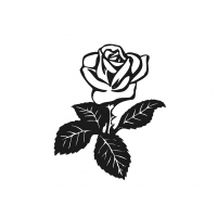 Цветы 504_П Розы
