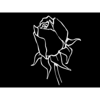 Цветы 505_П Розы