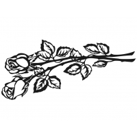 Цветы 509_П Розы